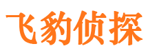 霍城侦探公司